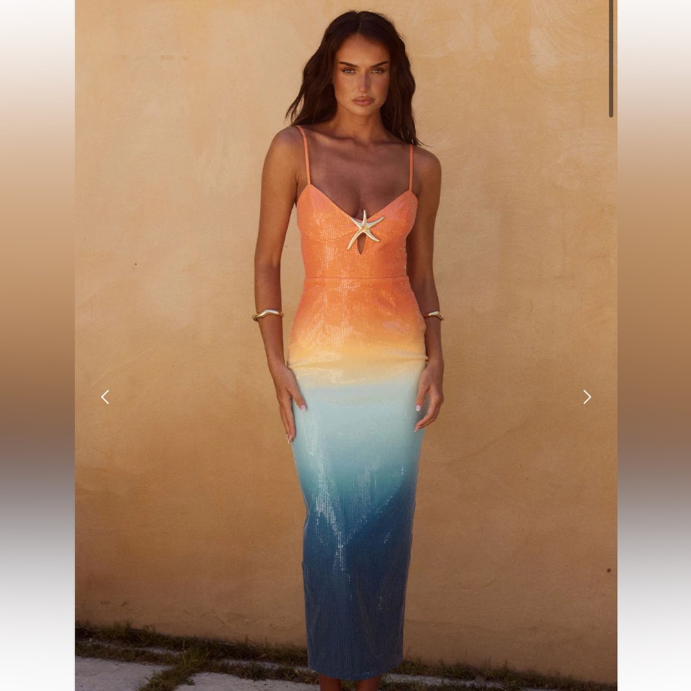 NWT BENITO MIDI DRESS - OMBRE Runaway The Label size SM
